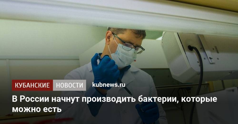 В России начнут производить бактерии, которые можно есть