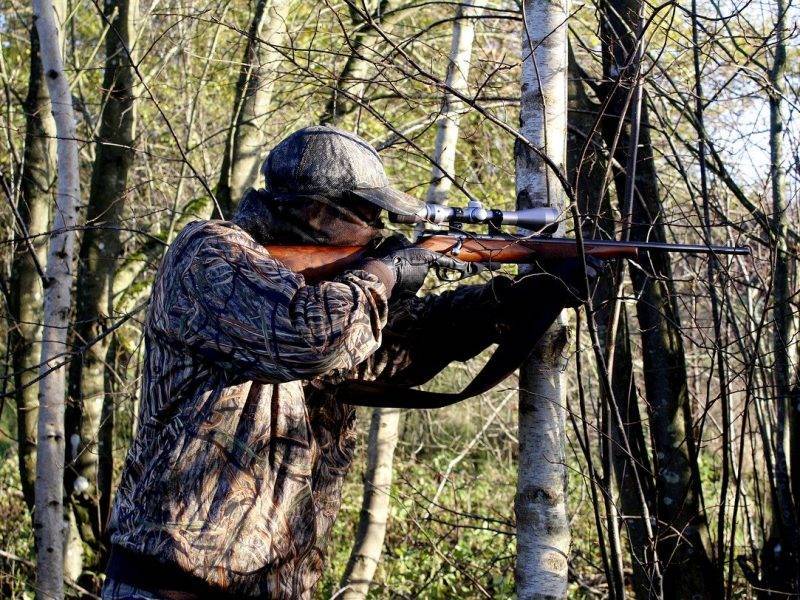 Скандал в лесу под Рязанью: чиновники охотились на лосей, а силовики – на чиновников