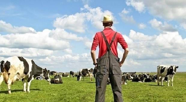 Зеленский подписал закон о стимулировании фермерских хозяйств: кому помогут