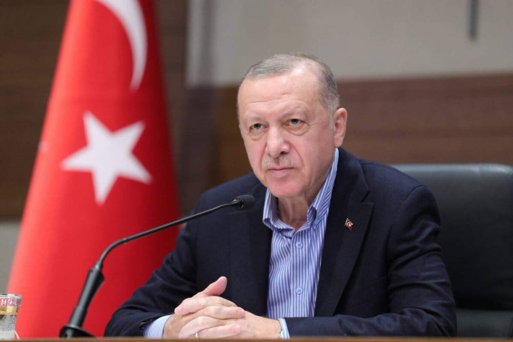 Турция предпримет все необходимые шаги против террористов в Сирии - Эрдоган