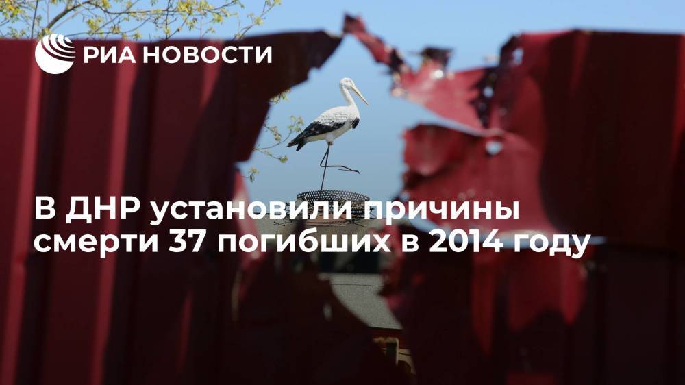 В ДНР установили причины смерти 37 погибших в 2014 году в ходе конфликта в Донбассе