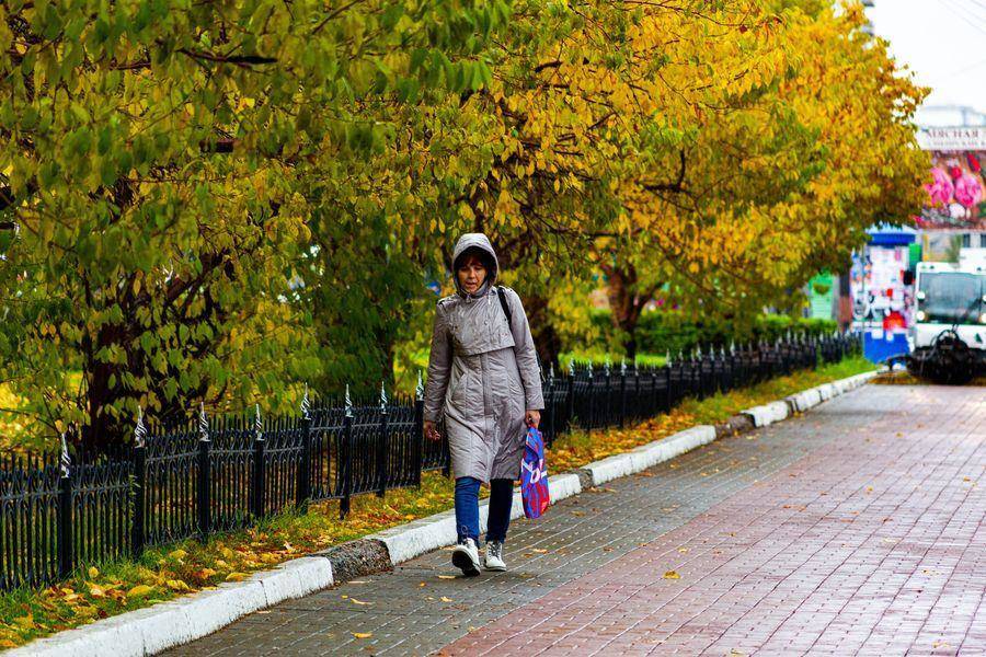 В Новосибирске потеплеет до +12 градусов 16 октября