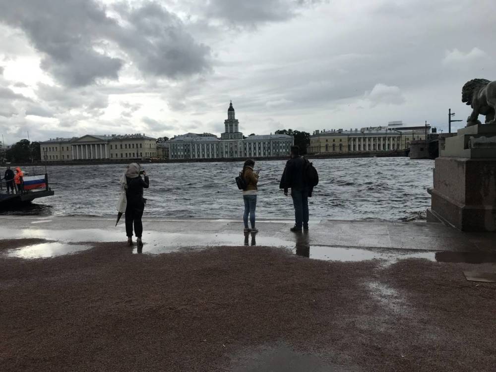 ГУ МЧС по Санкт-Петербургу предупредил об усиленном ветре с порывами до 18 метров в секунду