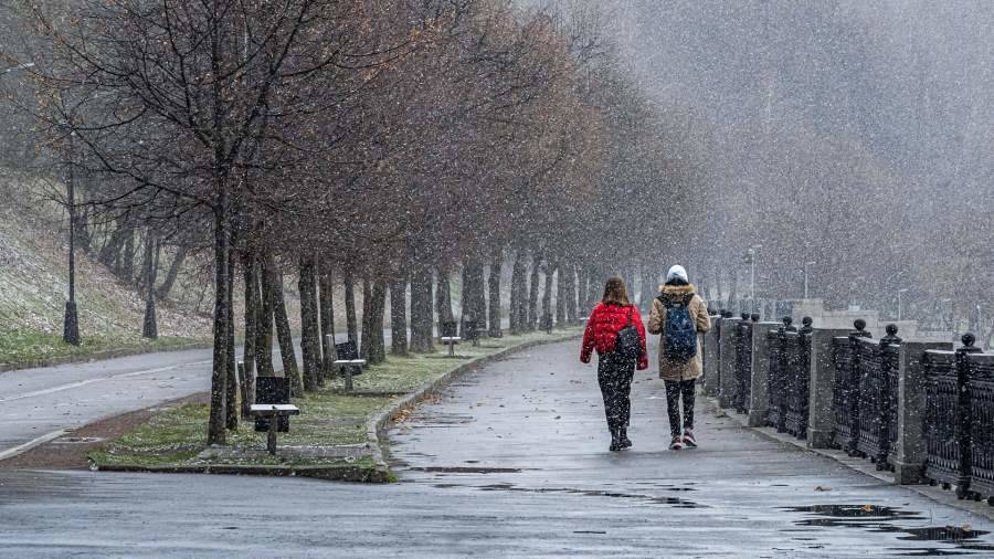 Вильфанд предупредил о мокром снеге в Европейской части России