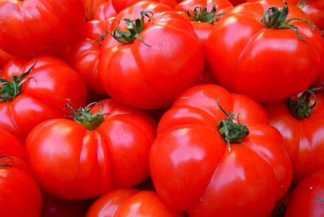 Вырастут крепкими и здоровыми: как правильно сажать помидоры под зиму