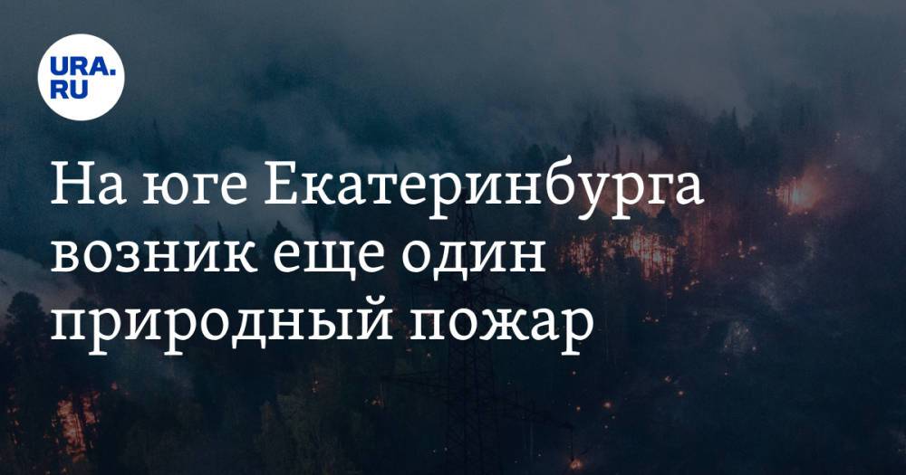 На юге Екатеринбурга возник еще один природный пожар