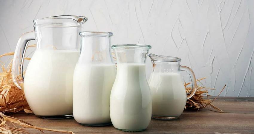 Производство молока к 2030 году вырастет до 1,1 млрд тонн — IFCN