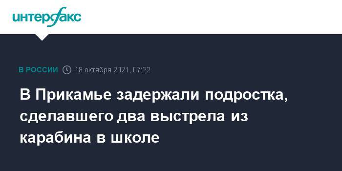 В Прикамье задержали подростка, сделавшего два выстрела из карабина в школе