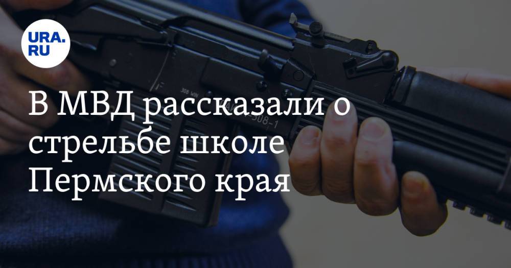 В МВД рассказали о стрельбе школе Пермского края