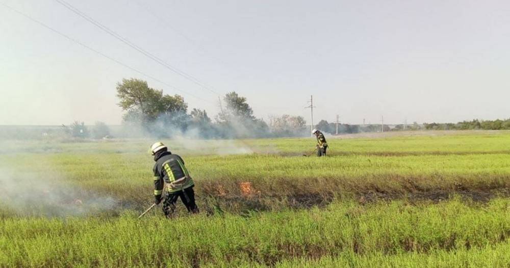 В восьми областях Украины объявили чрезвычайную пожарную опасность