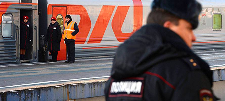 В Карелии транспортные полицейские сняли с поезда пьяную женщину, обложившую попутчиков матом