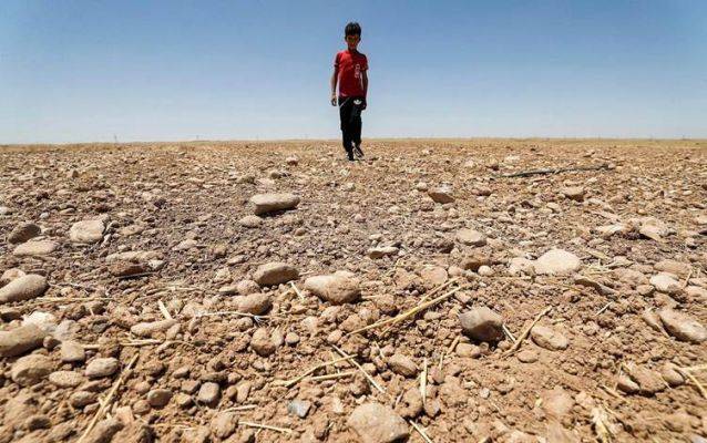 Ирак сократит на 50% посевы озимых из-за нехватки воды