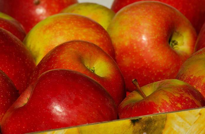 Цены на яблоки опустились до трехлетнего минимума
