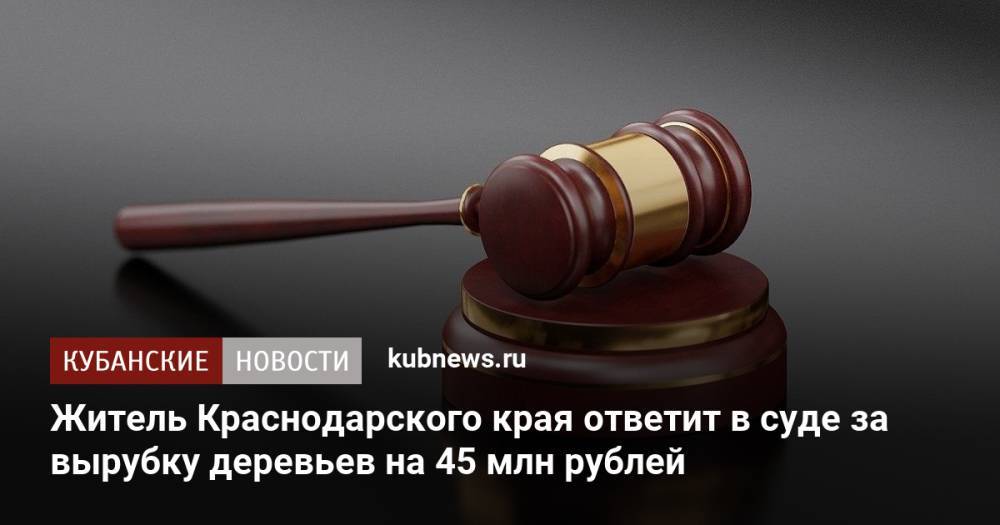 Житель Краснодарского края ответит в суде за вырубку деревьев на 45 млн рублей