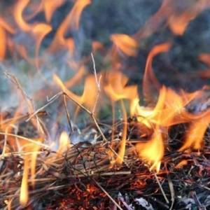 В Запорожской области ожидается чрезвычайная пожарная опасность