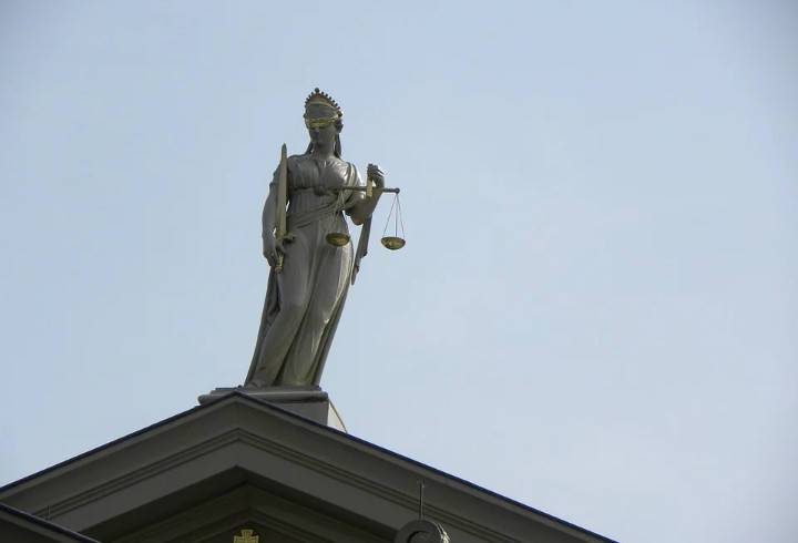 Петербургский суд назначил принудительное лечение матери, которая кусала своих детей