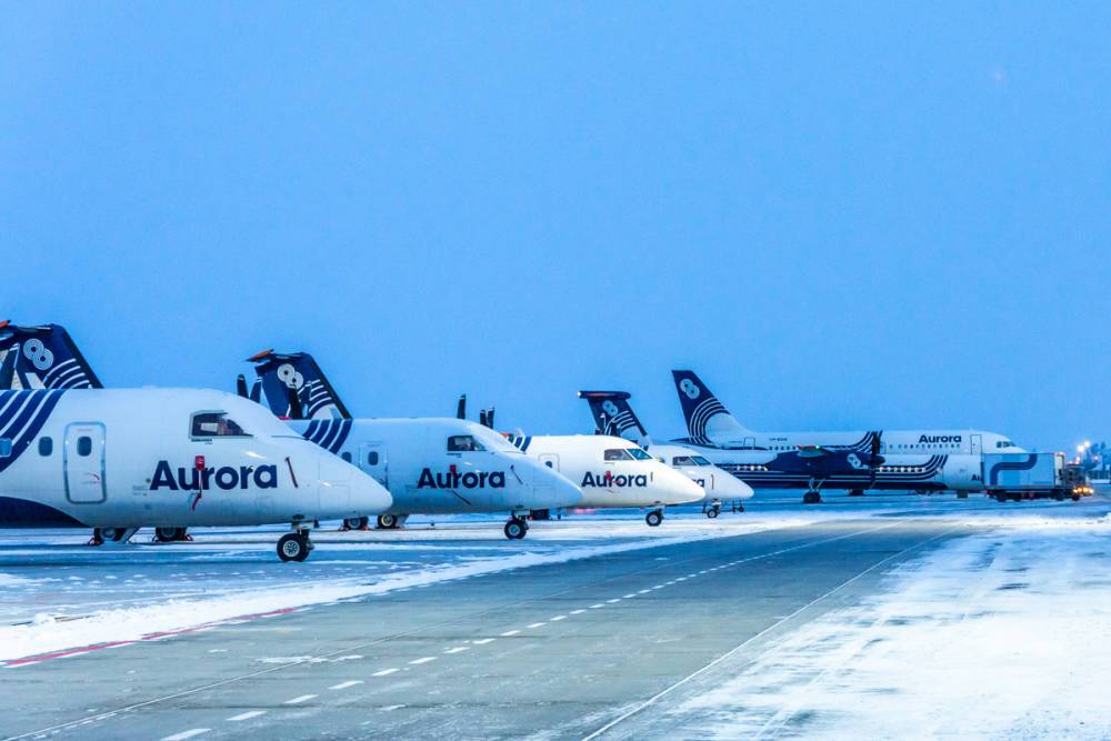 "Аврора" переходит на зимнее расписание и собирается летать чаще