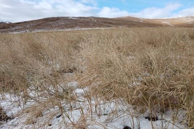 Режим ЧС вводят районы Забайкалья из-за обильного снегопада