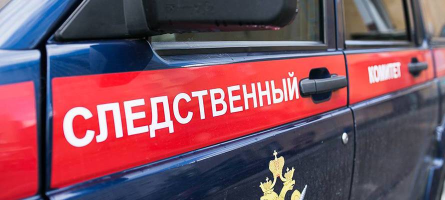 В Карелии задержали женщину, подозреваемую в убийстве 9-летней девочки из Вологды