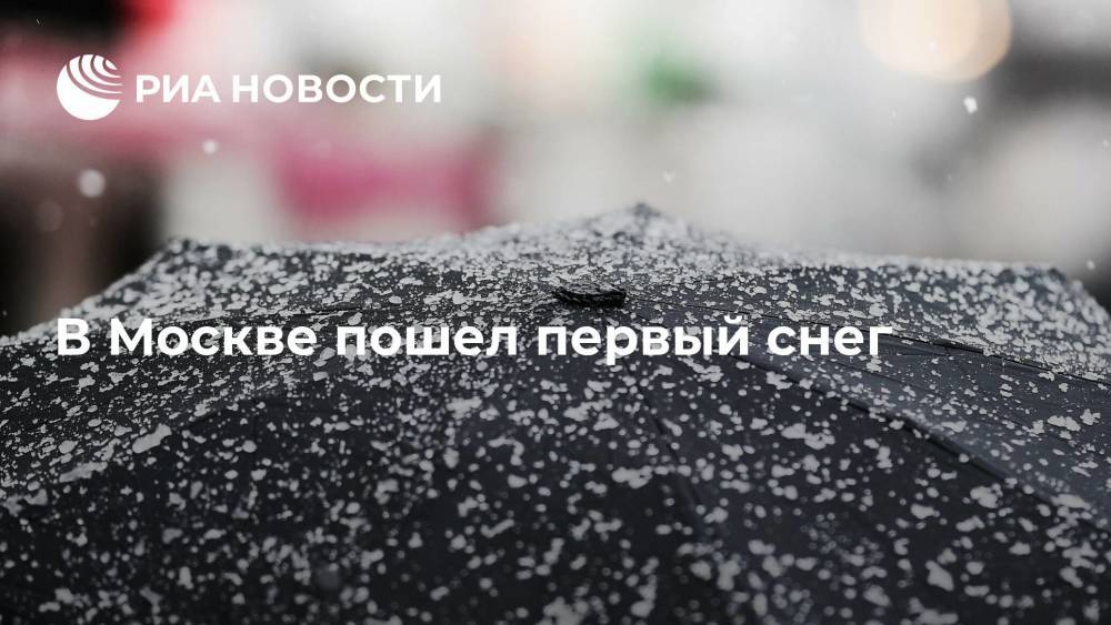 В Новой Москве пошел первый снег