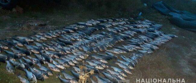 В Мариуполе задержали браконьера с рыбой на 2,7 млн гривень