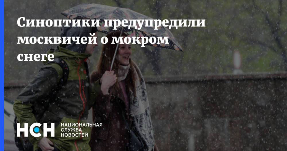 Синоптики предупредили москвичей о мокром снеге