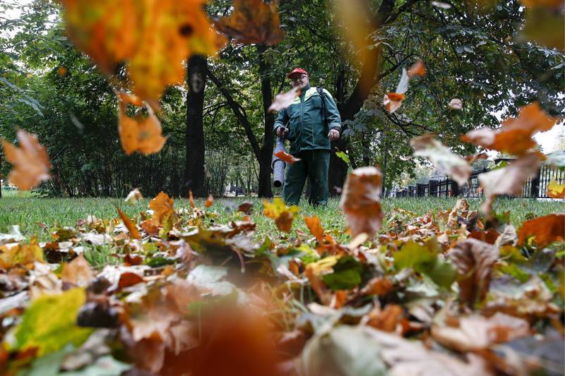 Желтый уровень погодной опасности объявлен в Москве