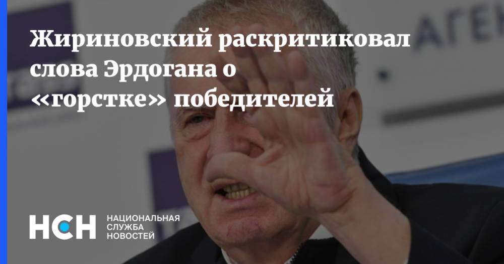 Жириновский раскритиковал слова Эрдогана о «горстке» победителей