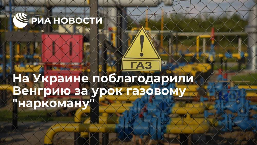 Обозреватель Романенко: Украина ведет себя как газовый наркоман, которому преподали урок