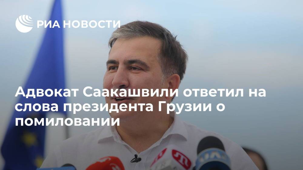 Адвокат Басилая: освободить Саакашвили можно только помилованием