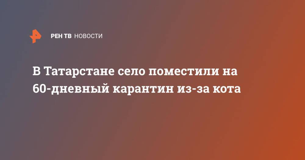 В Татарстане село поместили на 60-дневный карантин из-за кота