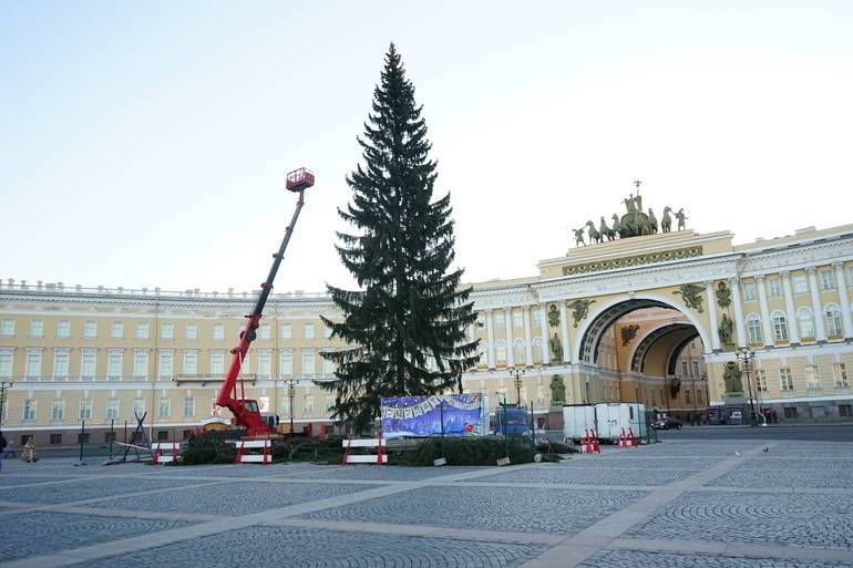 В Петербурге завершилось голосование о главной городской елке на Дворцовой