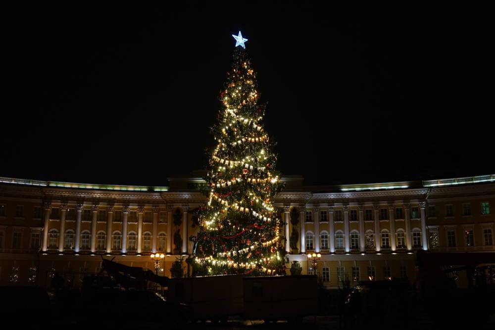 Петербуржцы выбрали новогоднюю ёлку на Дворцовой площади