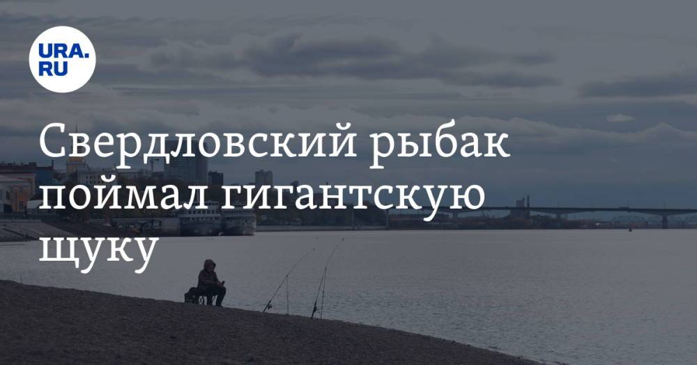 Свердловский рыбак поймал гигантскую щуку. Фото