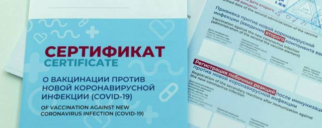 В Башкирии возбуждено 41 уголовное дело по мошенничеству с сертификатами о вакцинации