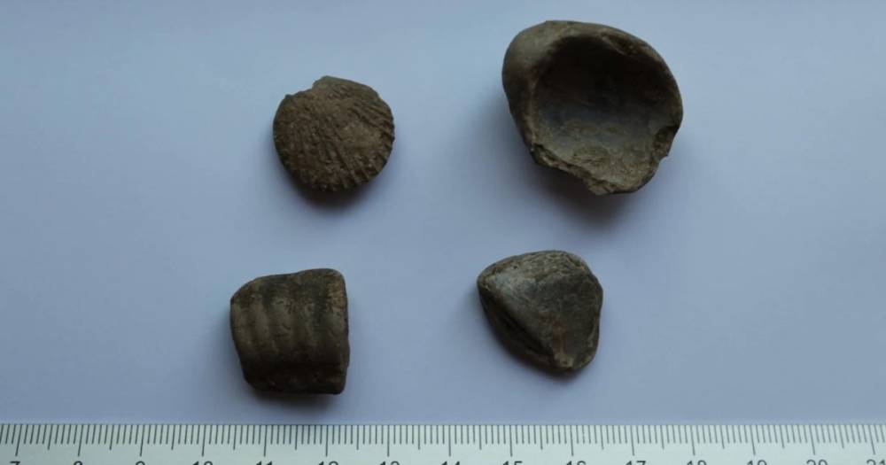 Археологи обнаружили в фамильном поместье принцессы Дианы артефакты неандертальцев