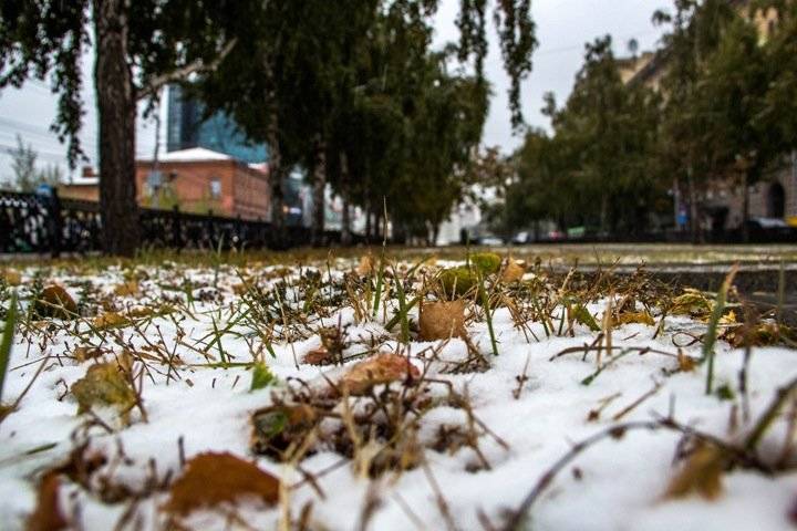 Похолодание с мокрым снегом ожидается в Новосибирской области
