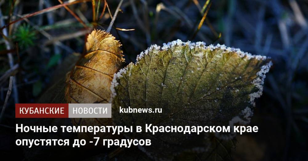 Ночные температуры в Краснодарском крае опустятся до -7 градусов