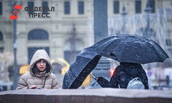 В Москве объявили экстренное предупреждение из-за мокрого снега