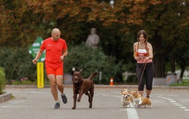 5 українських зірок, які займаються спортом зі своїми собаками