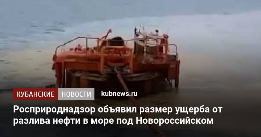 Росприроднадзор объявил размер ущерба от разлива нефти в море под Новороссийском