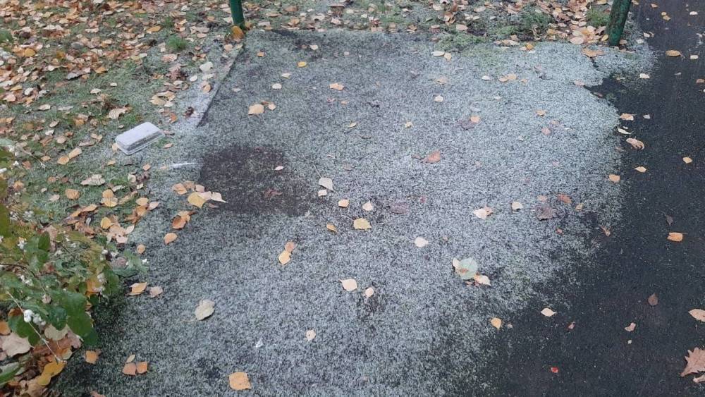 Синоптики предупредили жителей Ленобласти о дожде с мокрым снегом 20 октября