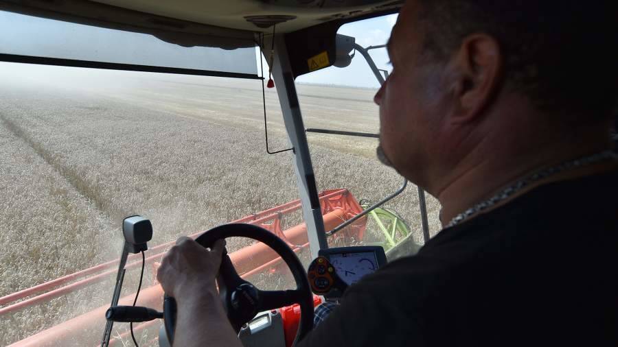 Истина в зерне: ФАС и Минсельхоз отчитаются за рост цен на пшеницу