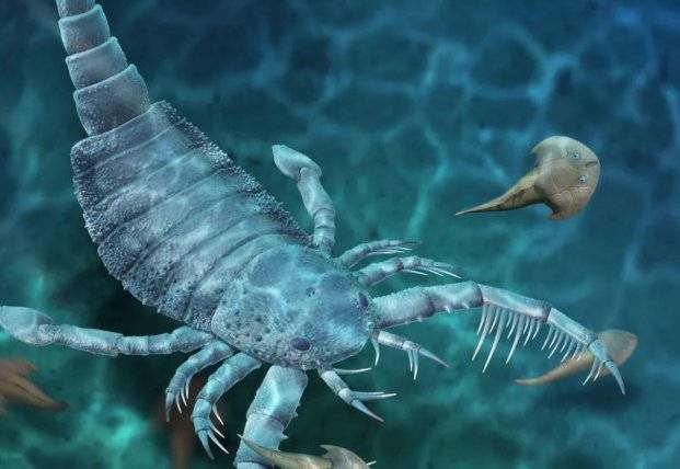 Ученые нашли окаменелости хищника с колючими конечностями, которому 400 млн лет