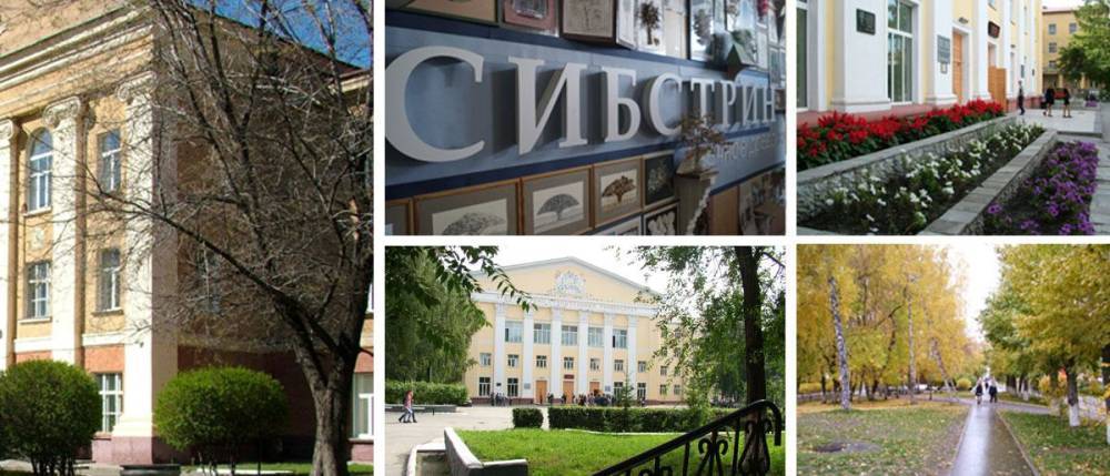 Все дороги ведут в Сибстрин: в Новосибирском государственном архитектурно-строительном университете каждый получит качественное образование и диплом государственного образца по самым востребованным специальностям