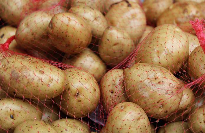 Рост цены на картофель спровоцирует импорт