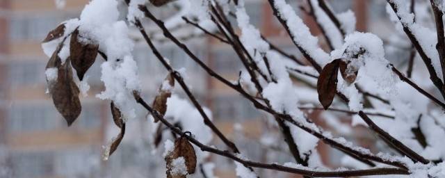 МЧС предупреждает жителей Башкирии о сильном ветре, снеге и гололедице