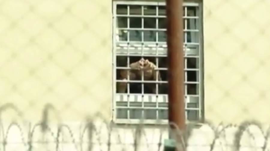 Саакашвили показал сложенное руками «сердечко» из окон тюрьмы