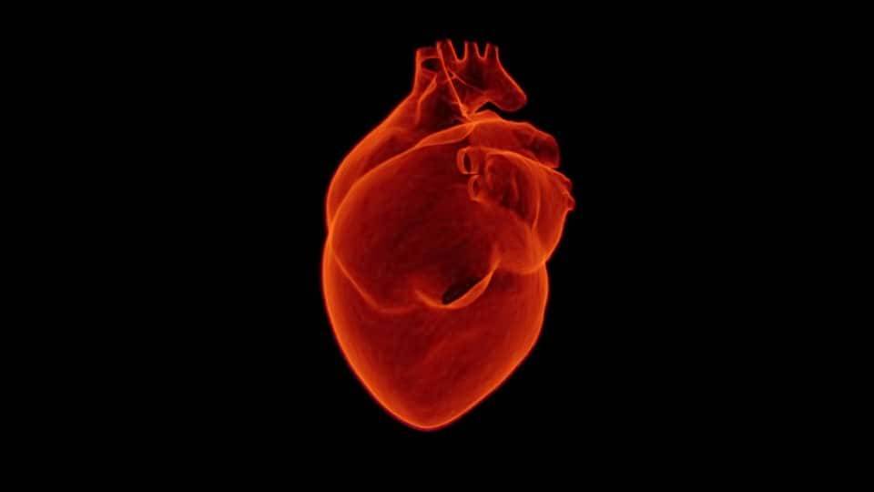 Ученые показали, как ИИ может обнаруживать невидимые признаки сердечной недостаточности и мира