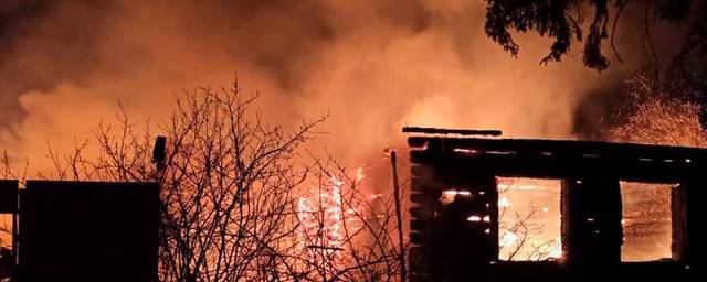 В Искитиме с начала года из-за пожаров погибли восемь человек